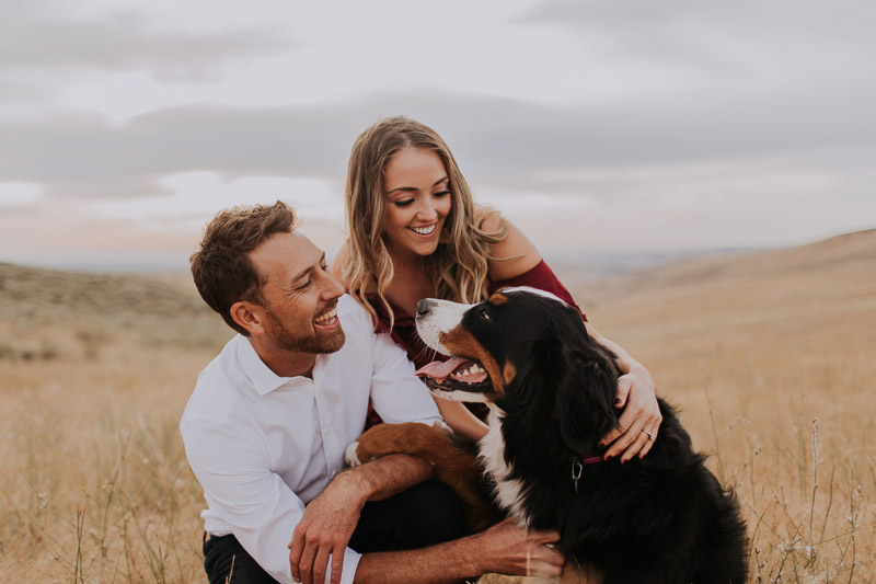 couple looking at their Bernese Mountain Dog, ©Abbey Armstrong Photography, engagement pictures with dog
