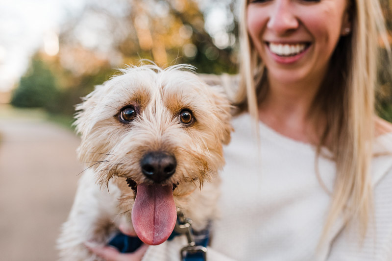 adorable pup, engagement photos with dogs | ©Easterday Creative, Charlotte, NC