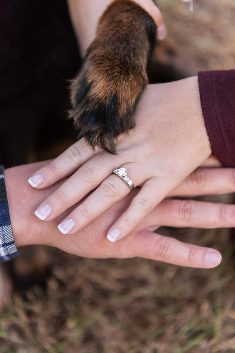 Paw and Hands, engagement photos with a dog | © Tasha Barbour Photography