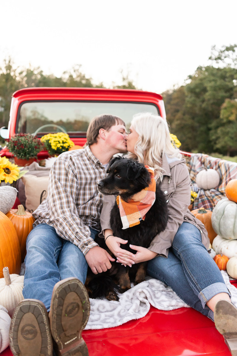 couple kissing in the back of vintage pick up truck with their dog, © Tasha Barbour Photography, Hickory, NC, dog-friendly fall engagement session