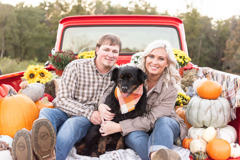 dog, couple,, pumpkins, flowers, red vintage pick up truck, © Tasha Barbour Photography, Hickory, NC, dog-friendly fall engagement photos
