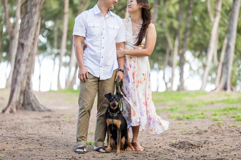 Min Pin and couple, ©VIVIDFotos | dog-friendly engagement photos, Waimanalo, Hawaii