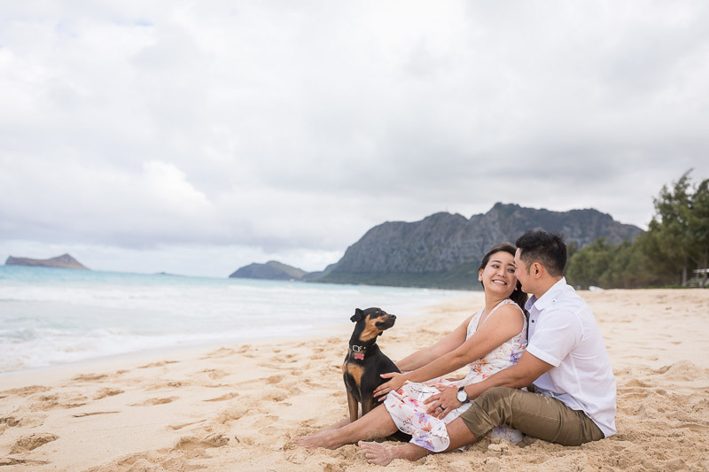 ©VIVIDFotos | dog-friendly engagement photos, Waimanalo, Hawaii