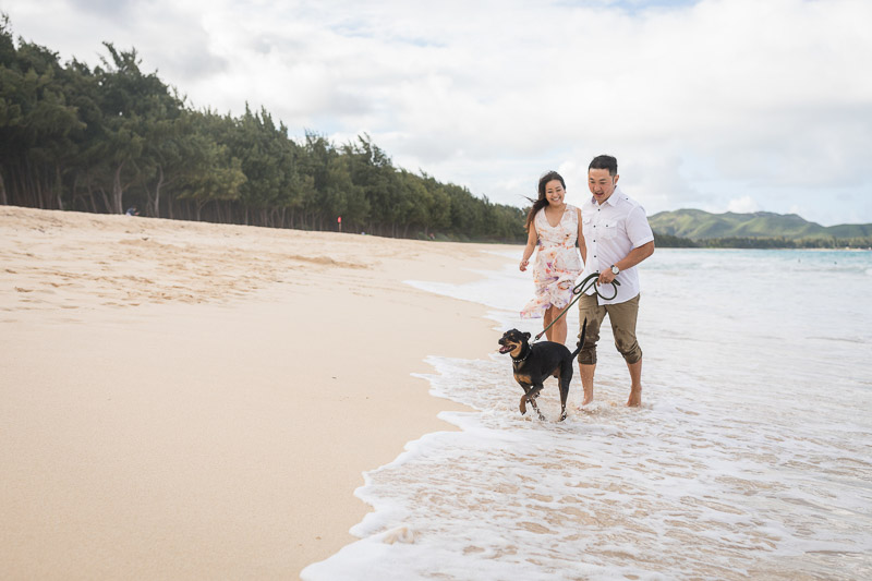 couple and their Min Pin mix running along the beach, ©VIVIDFotos | Waimanalo, Hawaii