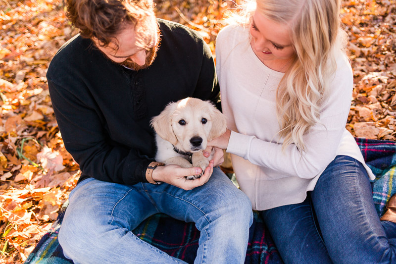 cute puppy looking up at camera, ©Katelyn Workman Photography | WV dog-friendly family portraits