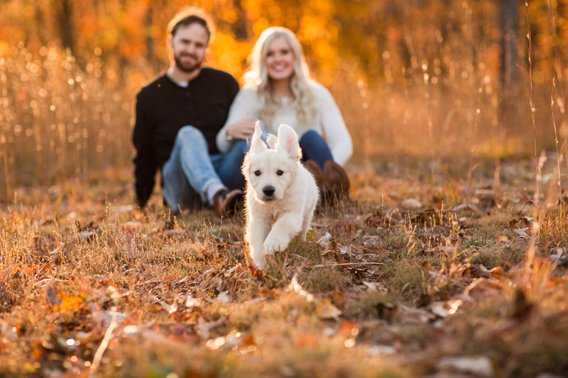 adorable puppy running through leaves, beautiful fall family photos | ©Katelyn Workman Photography | WV dog-friendly family portraits