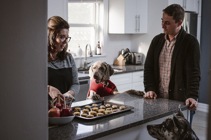  In Home Lifestyle Session With Dogs,mixed breed and Weimaraner watching humans make cookies | ©Sandy Anger Studios | 