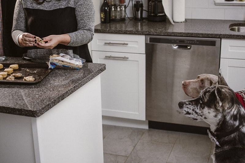 dogs watching humans make cookies | ©Sandy Anger Studios | family portraits with dogs Guelph, Ontario