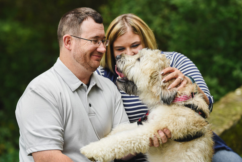 cute Wheaten Terrier looking at his humans, engagement photos with a dog ©Stephanie West Photography 