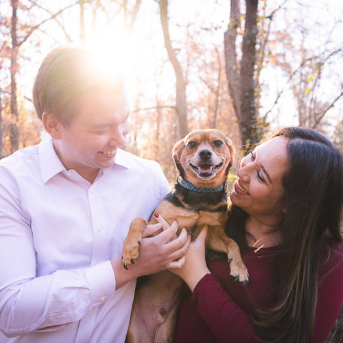 Dog-Friendly Maternity Session | St. Louis, MO