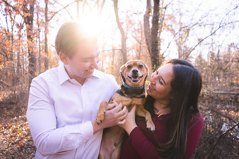 Dog-Friendly Maternity Session | St. Louis, MO