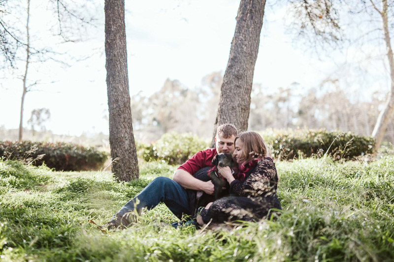 couple sitting in tall grass with their small black dog, ©Playful Soul Photography Engagement Photos With Dog
