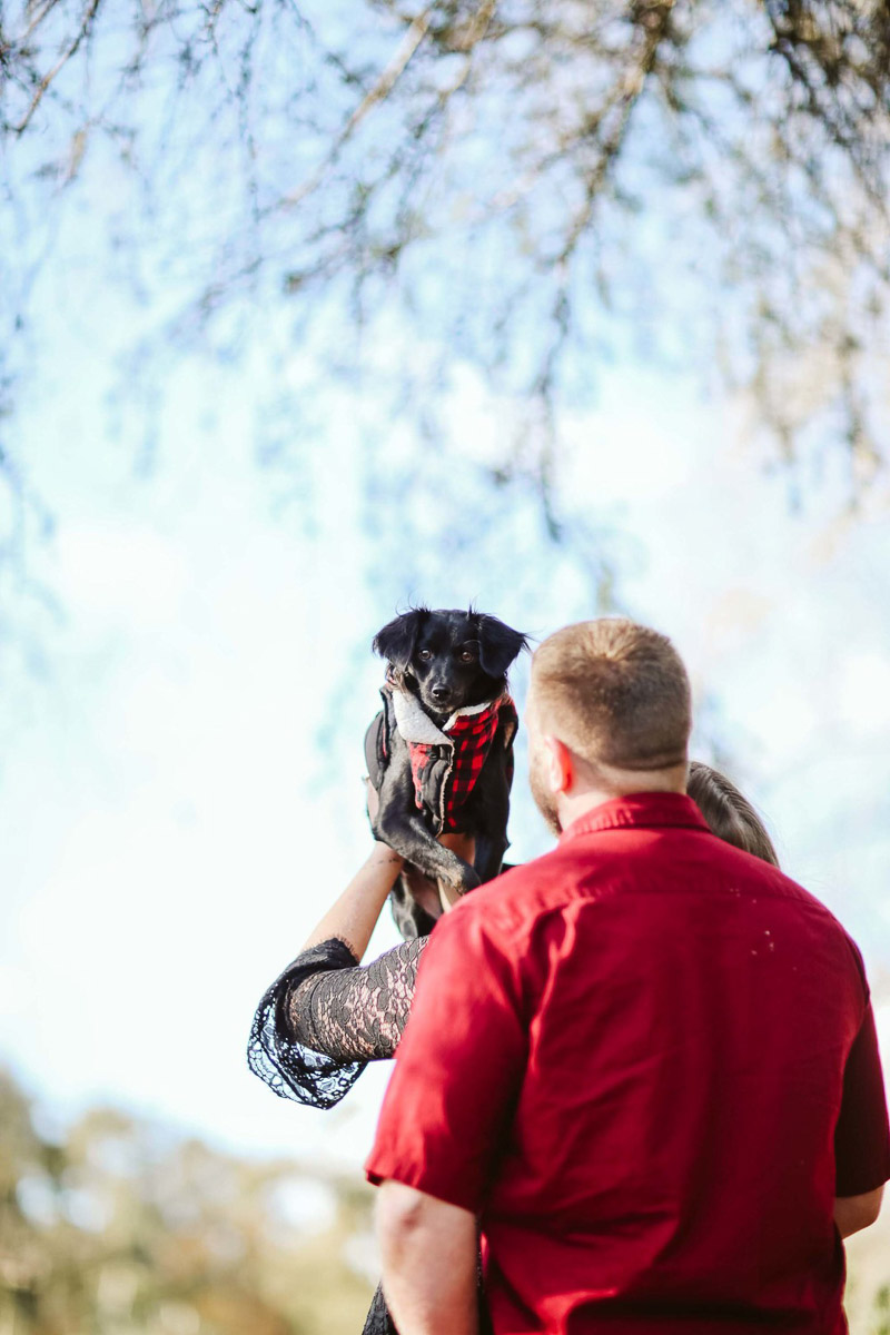 dog-friendly engagement session, Irvine, CA | ©Playful Soul Photography 