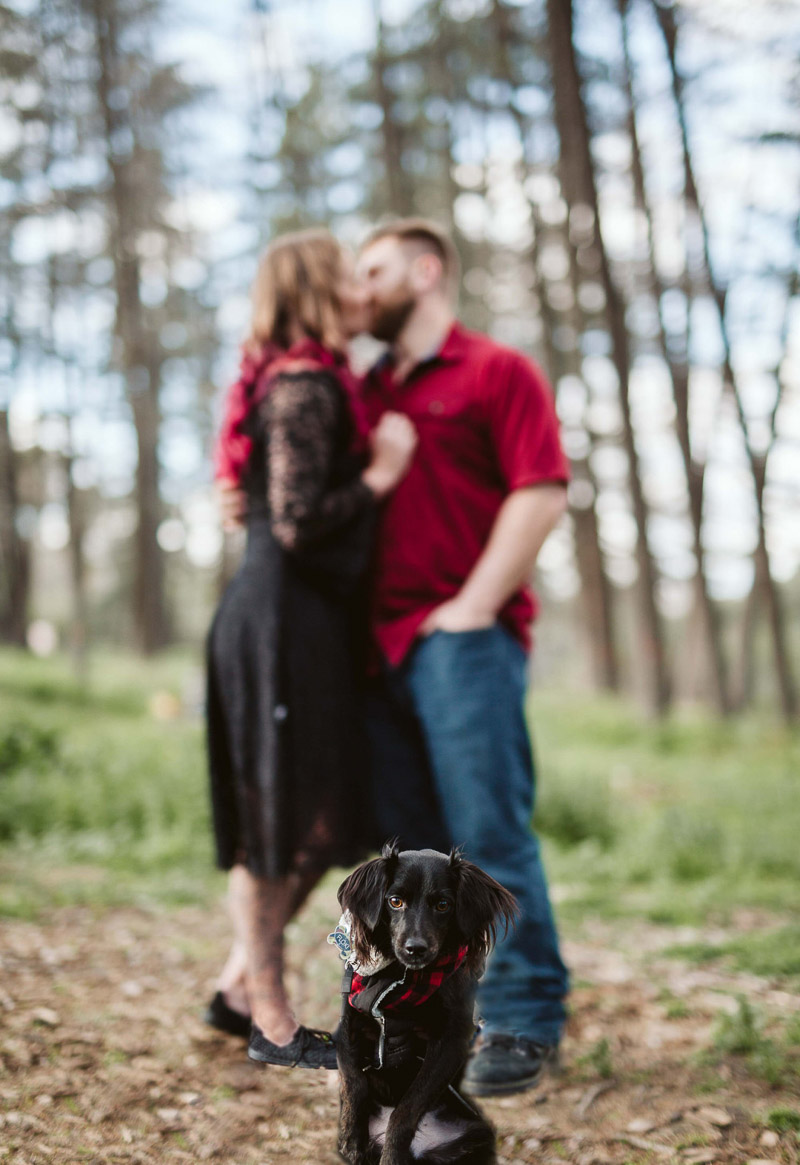 cute mixed breed dog and couple, dog-friendly engagement photos | ©Playful Soul Photography
