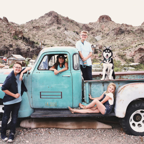 Happy Tails:  Blue the Siberian Husky | Nelson, Nevada