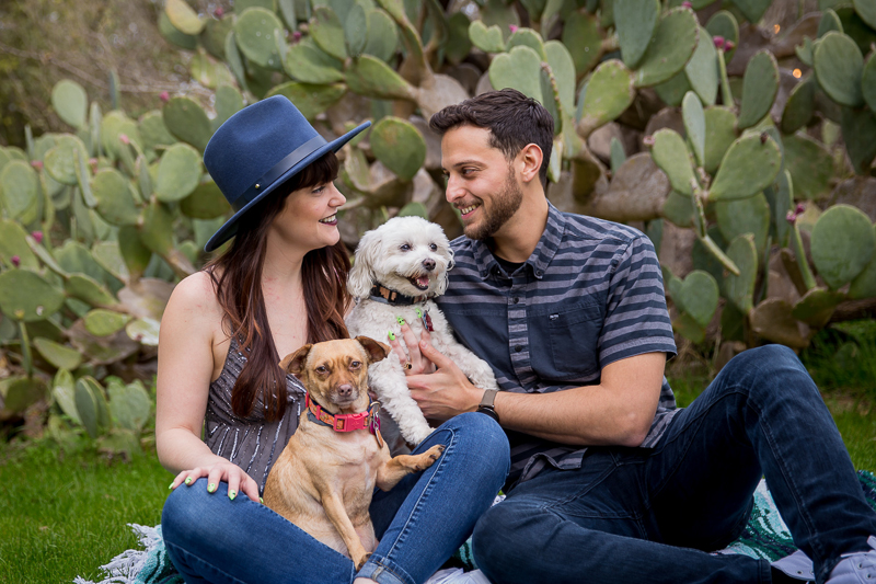 couple holding dogs in their laps, pet-friendly engagement pictures | ©Wildflower Barn Photography Driftwood, Texas