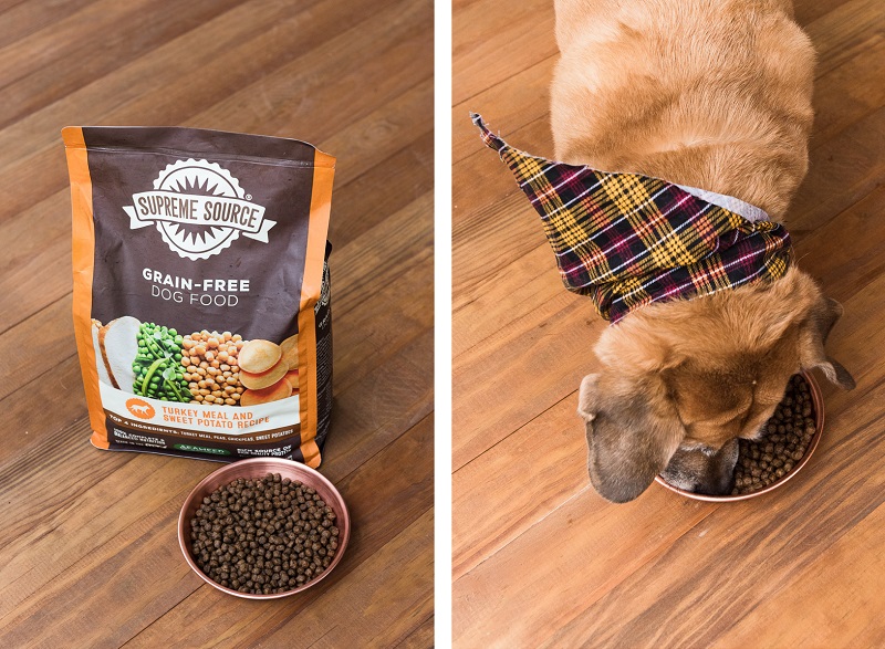 mixed breed eating Supreme Source Grain Free Dog Food, Alice G Patterson Photography, Central New York commercial photographer