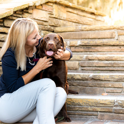 Happy Tails:  Emiline the Chocolate Labrador Retriever