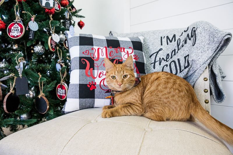 orange cat sitting on chair next to Christmas tree