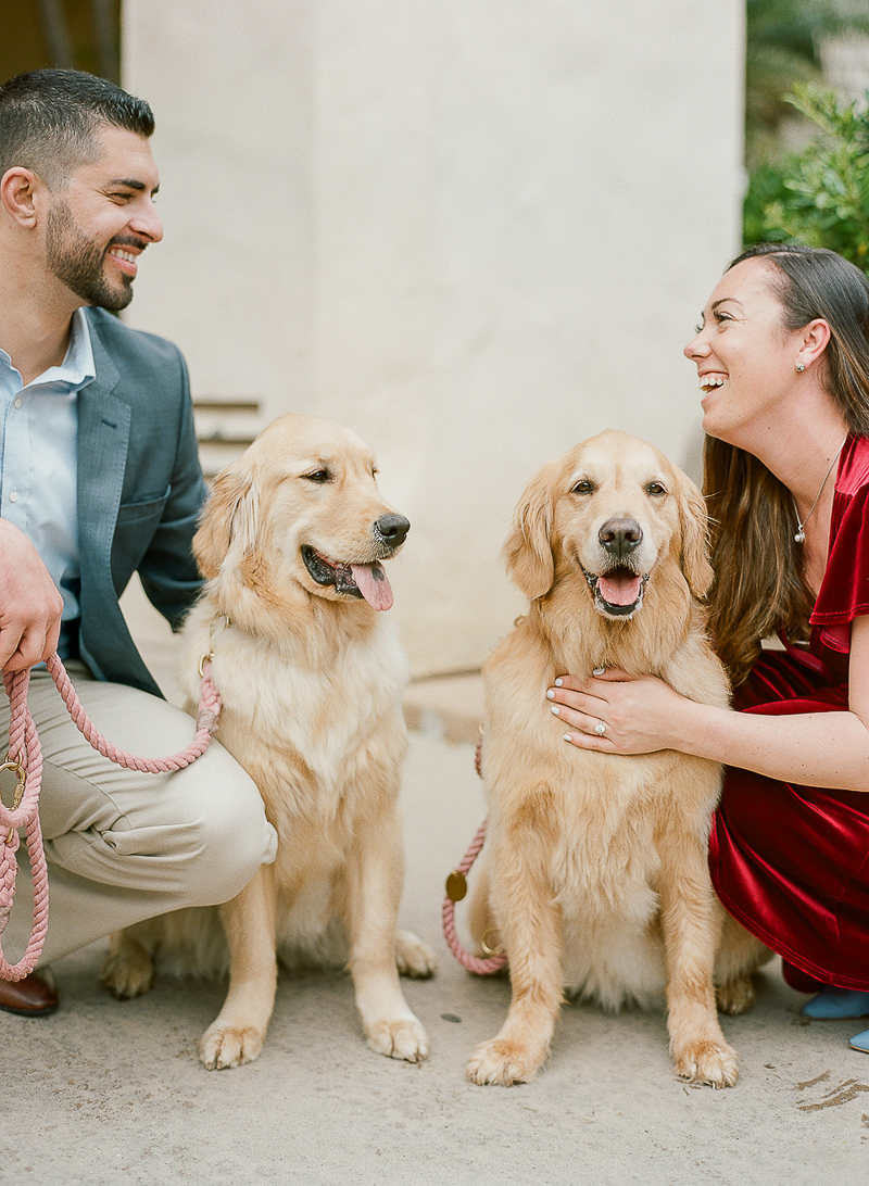 engagement session with Golden Retrievers, ©The Ganeys