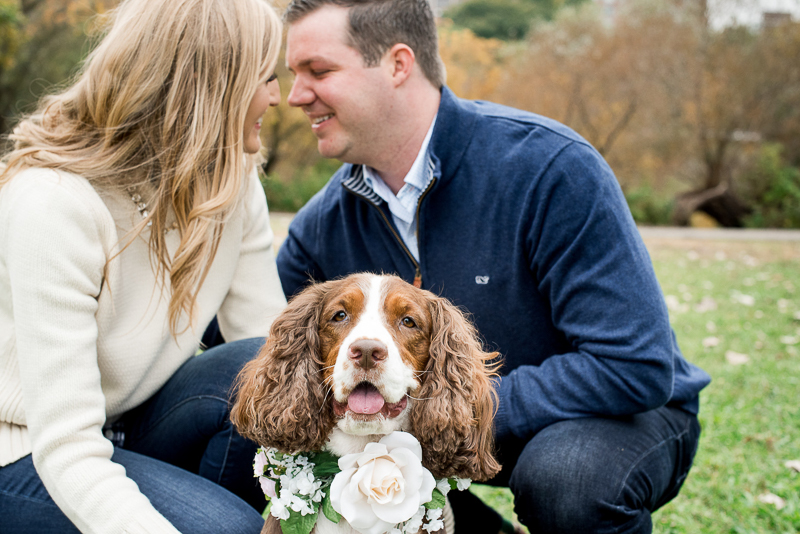 Fall engagement photos with a dog | ©Layla Eloa Photography, Chicago