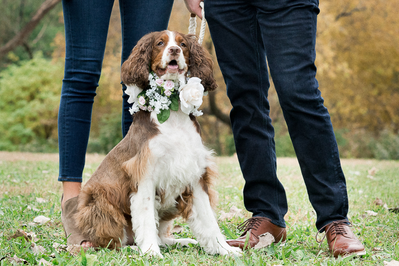 dog-friendly engagement photos | ©Layla Eloa Photography