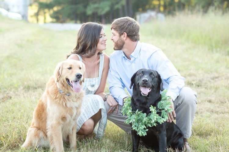 ©Brynn Gross Photography dog friendly engagement ideas