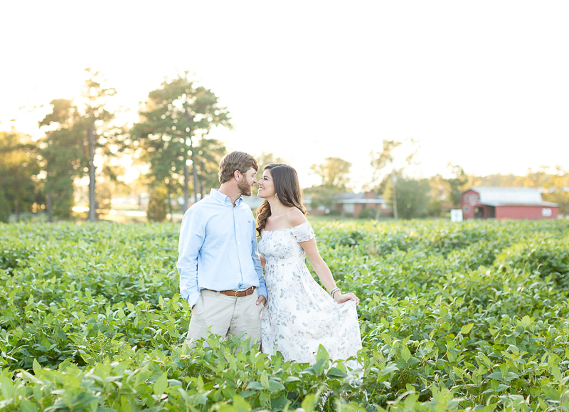 summer engagement pictures on a farm, ©Brynn Gross Photography, Sanford, NC