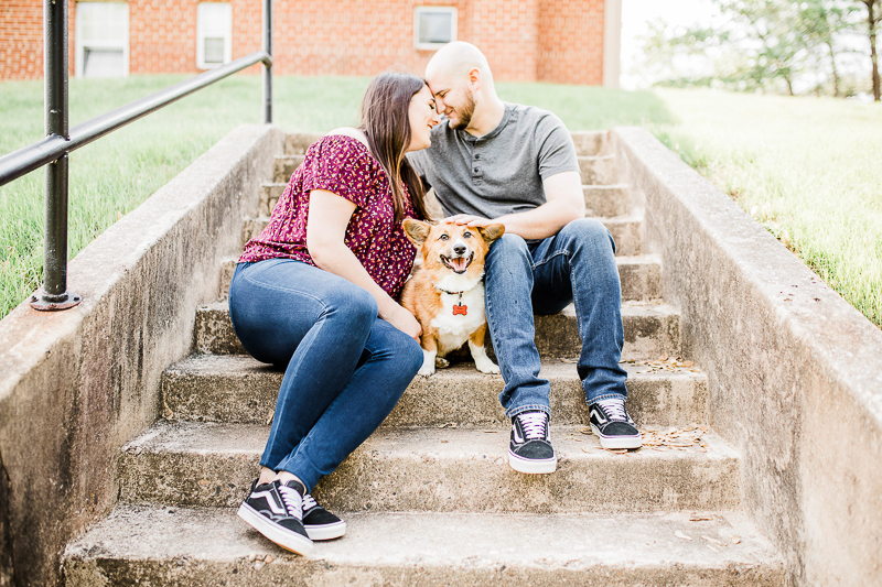 cute dog sitting on steps with his family | ©Morgan Lee Photography | Northern Virginia engagement photography