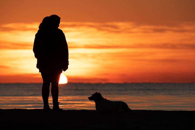 small dog and woman at sunrise, on location beach photography | ©Steven Penman Photography, St Leonards, Victoria