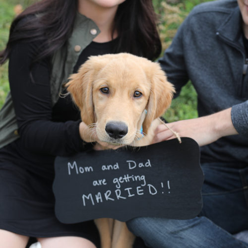 Dog-friendly Engagement Photos | Fort Wayne, IN