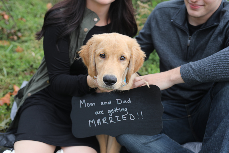 Dog-friendly Engagement Photos | Fort Wayne, IN