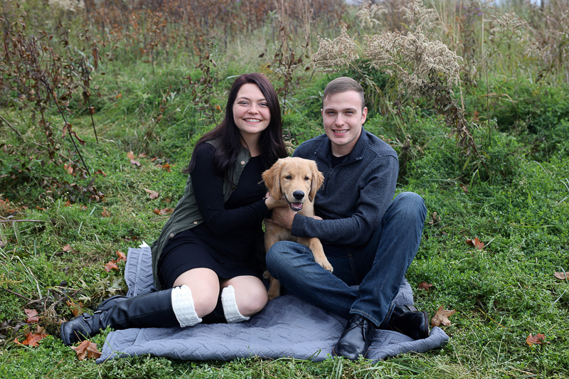 Dog friendly engagement photos with Golden Retriever puppy, ©Abigail Saalfrank Photography, Fort Wayne, IN