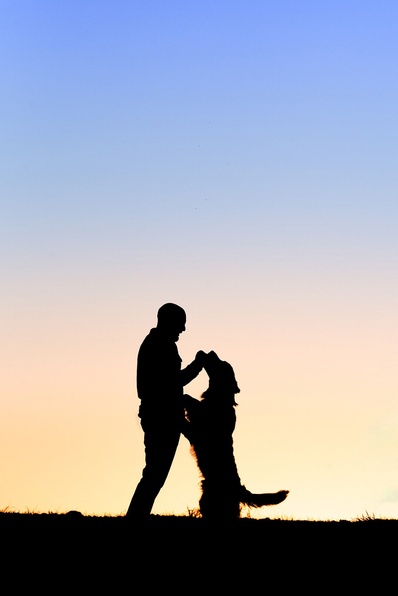 silhouette of man and dog, ©Bark & Gold Photography, Pittsburgh dog photographer