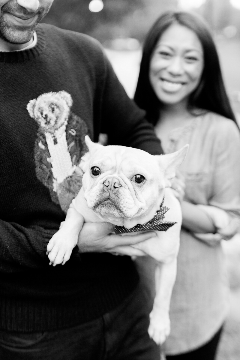 cute French Bulldog, pet-friendly engagement photos | ©Jessica Hunt Photography