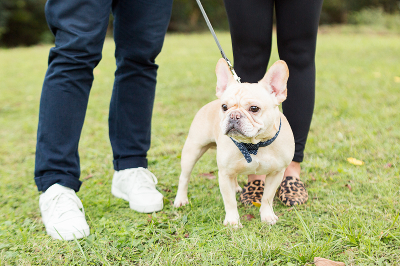 dog-friendly engagement photos with French Bulldog, ©Jessica Hunt Photography. Columbia, SC
