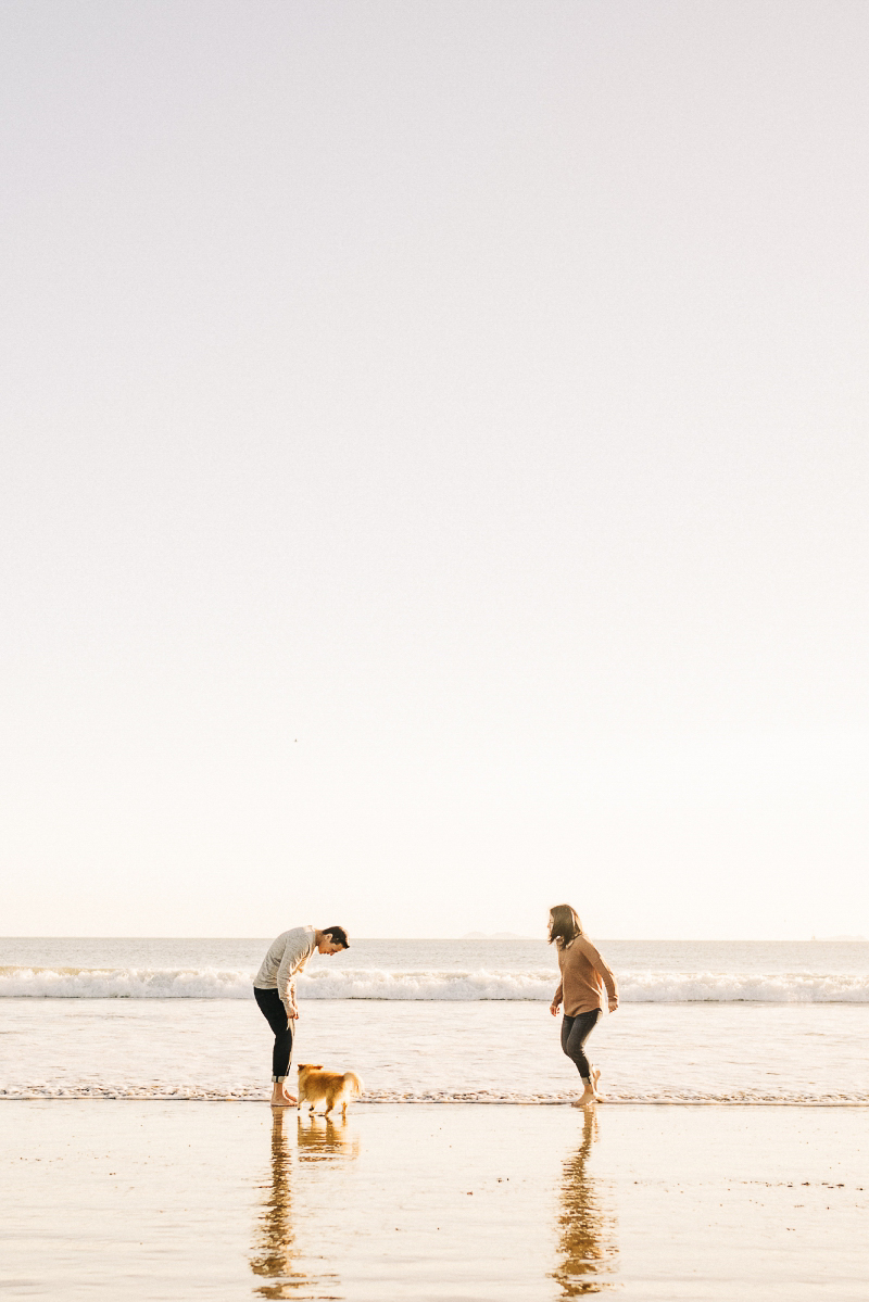 beach engagement photos with a dog, ©misterdebs photography