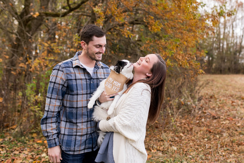 small dog licking woman's chin, ©Autumn Howell Photography | pet-friendly engagement photos 