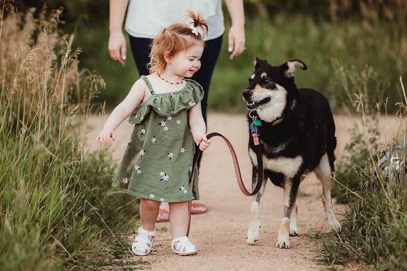 toddler walking her dog, girl's best friend | ©Good Morrow Photography | Arvada, CO