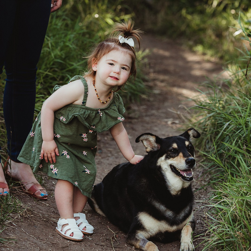 toddler wearing green dress petting her dog | ©Good Morrow Photography |