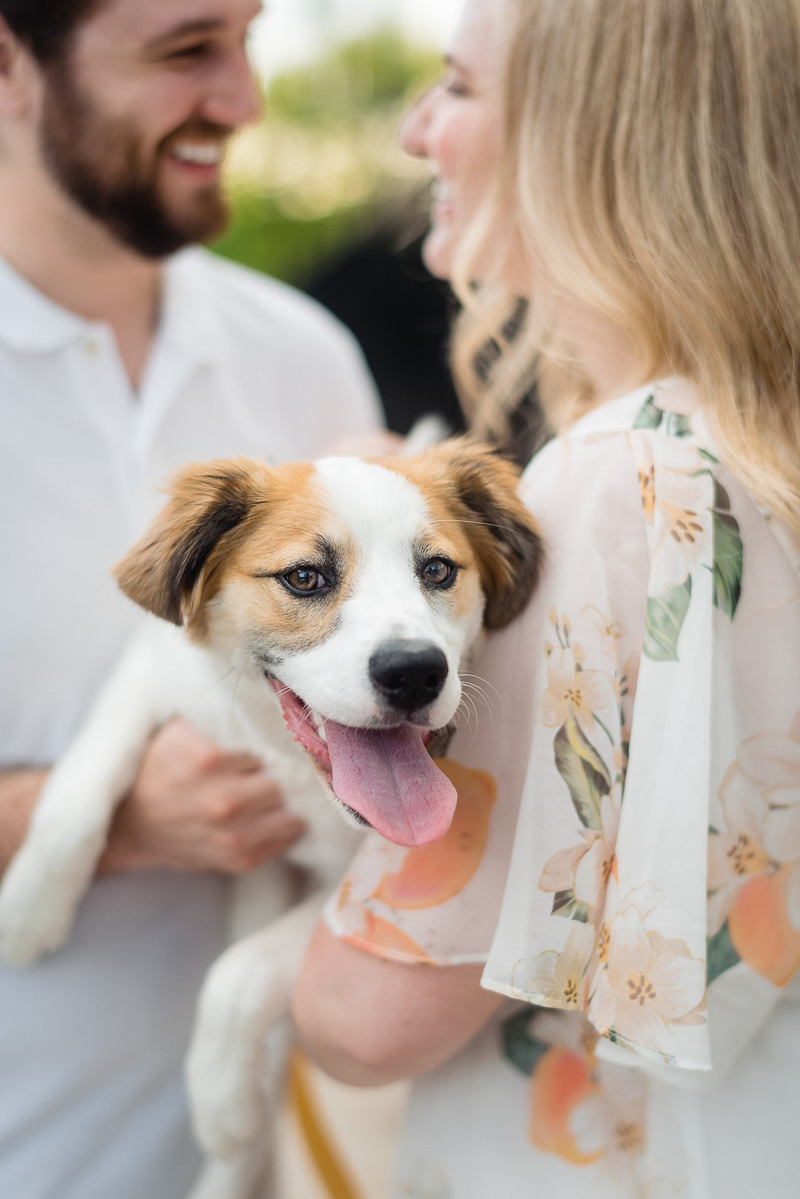 puppy steals show during summer engagement session | ©Jennifer Lourie - engagement photos with a puppy, Naperville, Illinois