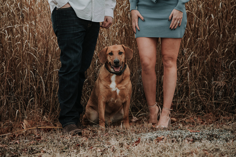 dog-friendly engagement photos with mixed breed, Wilmington Riverfront | ©Kelli Wilke Photography