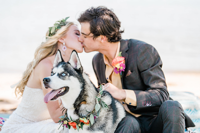 Siberian Husky and couple, boho inspired wedding details, wedding dog | ©Landrum Photography