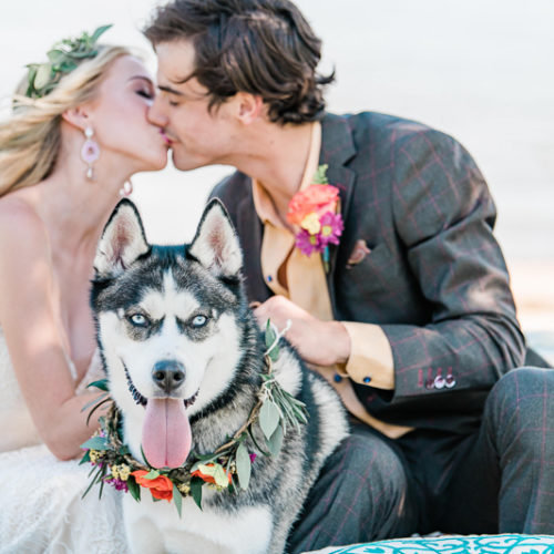 Best (Wedding) Dog: Ghost | Inspired Styled Shoot