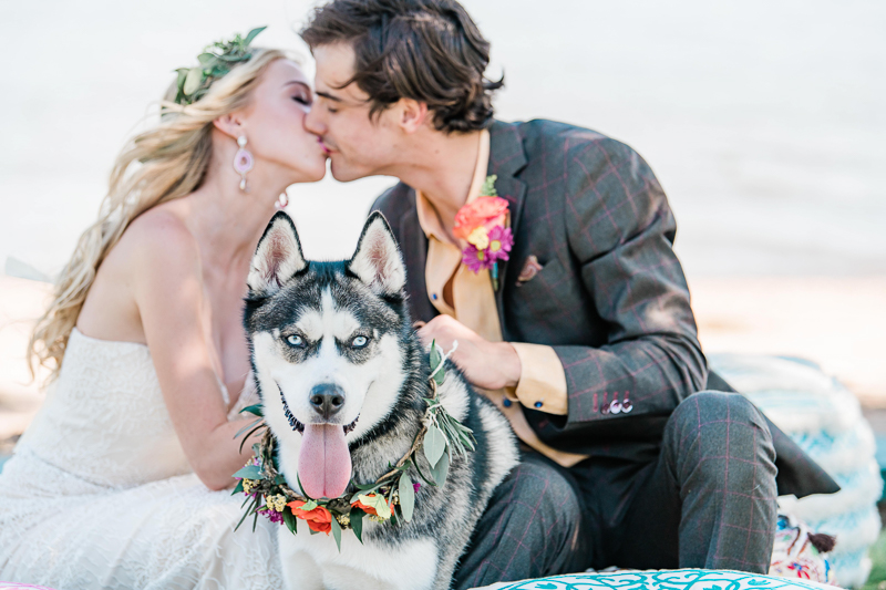 dog wearing floral collar, boho inspired wedding ideas, wedding dog | ©Landrum Photography