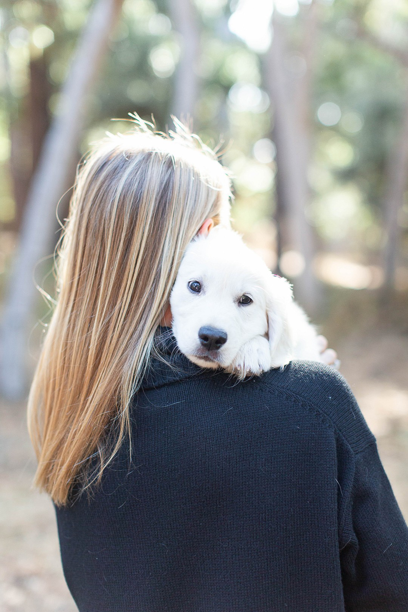 cute puppy snuggling on woman's shoulder | ©Laura & Rachel Photography