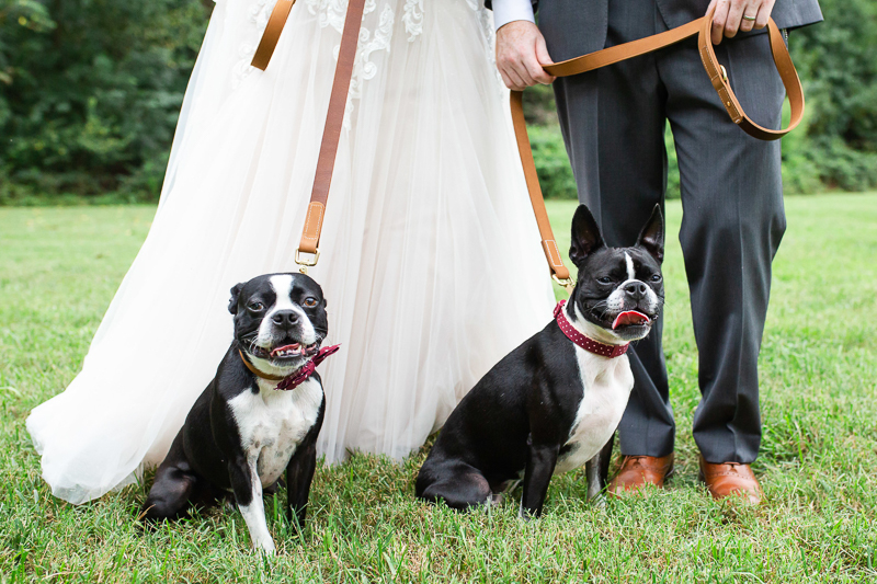 wedding photos with dogs | ©Megan Rei Photography, Richmond, VA