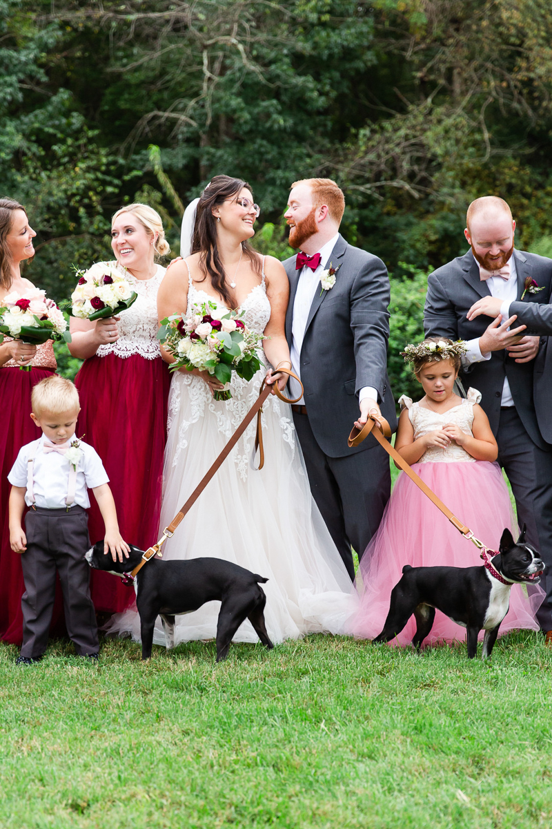 wedding party and Boston Terriers | ©Megan Rei Photography, Northern Virginia