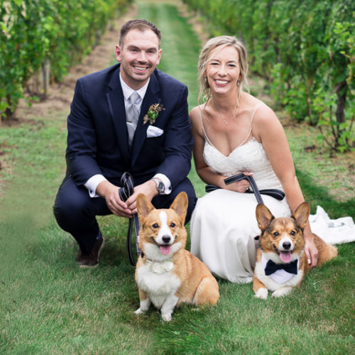 Best (Wedding) Dogs: Newman and Barley The Corgis