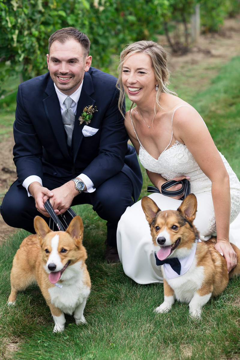 wedding dogs, Corgis and their just married humans | ©Chris and Becca Photography | dog-friendly wedding